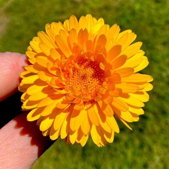 Jewelry and Accessories AS-IS - Picture 1 of 1